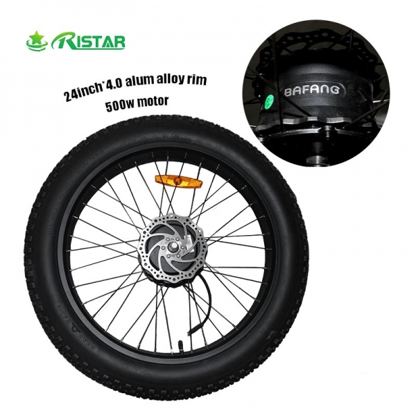 24×4.0 Fat Tire Front Wheel Assembly with Tire & Tube for Adult Electric Tricycle E-Trike